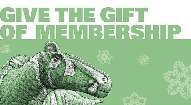 gift-promotion-graphic