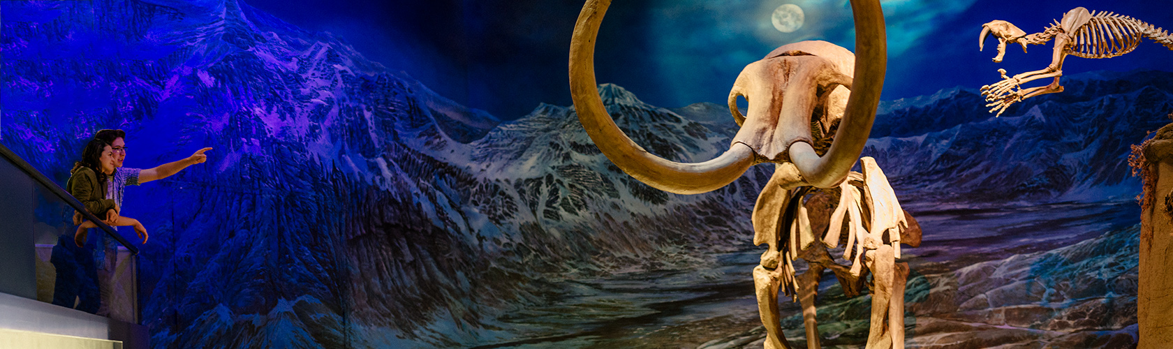 ice_age