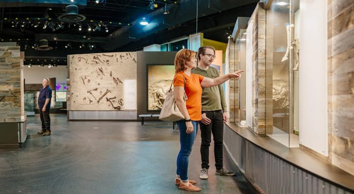 Museum visitors explore an exhibit.