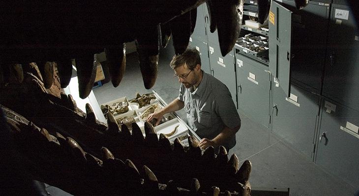 Jim Gardner looks at fossils on a cart.