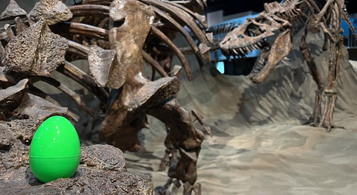 A plastic easter egg on top of a dinosaur skeleton. 