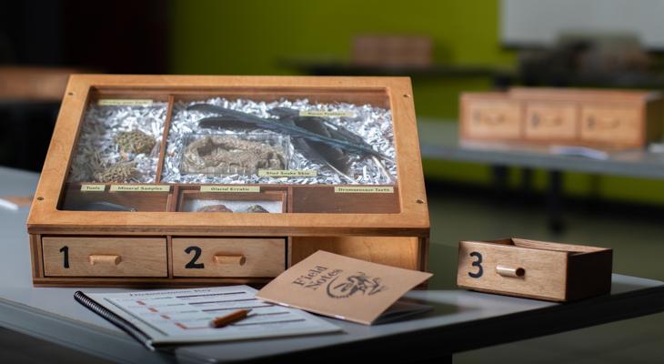 A wooden display box containing rocks, fossils, and feathers.