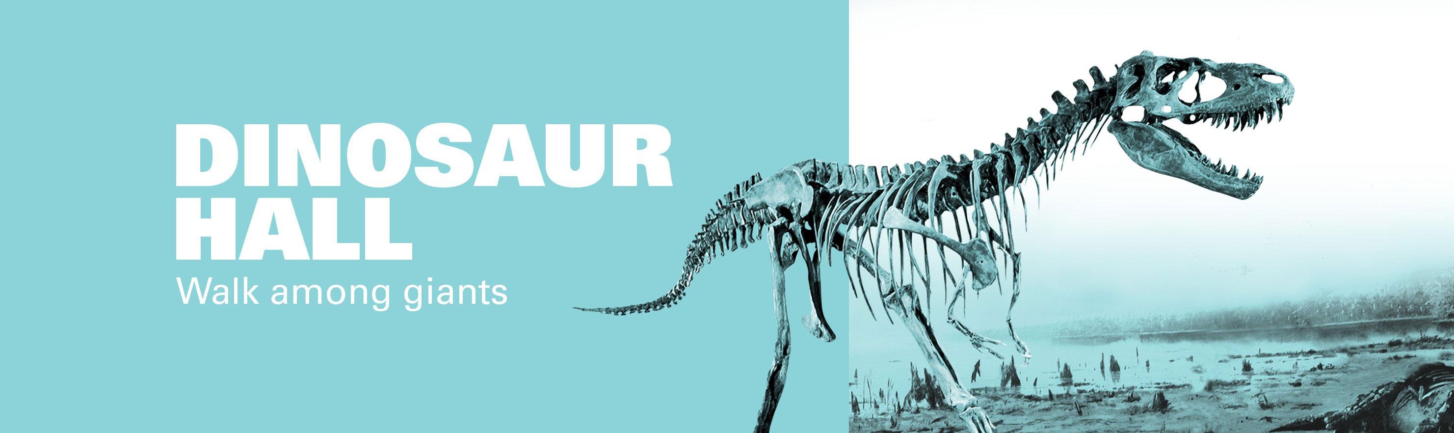 Dinosaur Hall new graphic